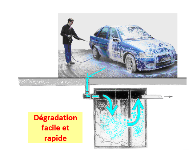 CAR NATURE EXPLICATION