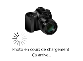 PHOTO EN COURS DE CHARGEMENT